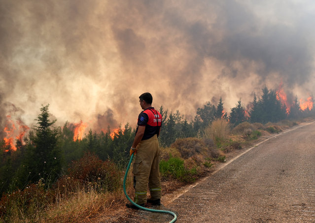 Firefighters try to extinguish the forest fire, broke out close to residential areas at Cesmealti town in Urla district of Izmir, Turkiye on July 31, 2024. 4 airplanes, 12 helicopters, 36 land vehicles, 10 water supply vehicles, 4 dozers and 8 ground teams belonging to Turkish General Directorate of Forestry continued their efforts to bring the fire under control. (Photo by Mahmut Serdar Alakus/Anadolu via Getty Images)