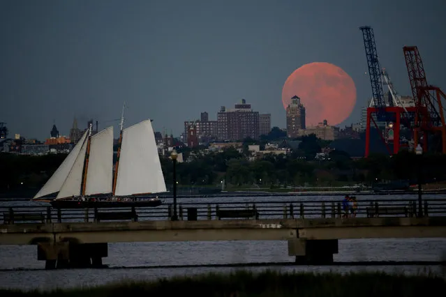 A blue moon rises behind Brooklyn seen from Liberty State Park in Jersey City, N.J., Friday, July 31, 2015. (Photo by Julio Cortez/AP Photo)