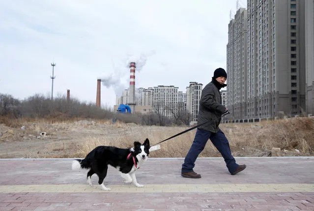 A resident and his dog walk past a coal-fired heating station next to new apartment blocks in Harbin, Heilongjiang province, China on November 26, 2019. (Photo by Jason Lee/Reuters)