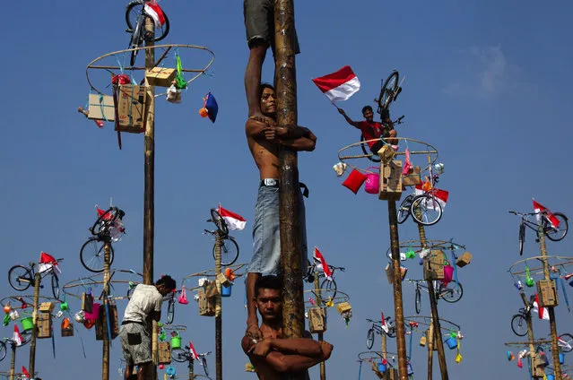 Indonesian men in teams of 4 try to climb to the top of a greased pole called a panjat pinang in order to get to the prizes tied to the top on August 17, 2015 in Jakarta, Indonesia. (Photo by Ed Wray/Getty Images)