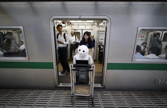 Tomomi Ota pulls a cart loaded with her humanoid robot Pepper as she boards a subway train in Tokyo, Japan, 27 June 2016. (Photo by Franck Robichon/EPA)