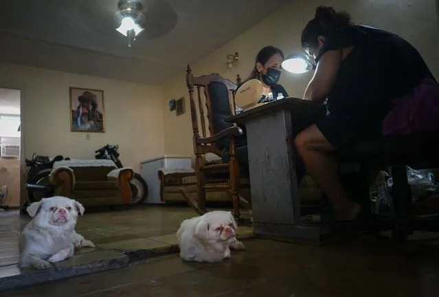 Marylin Alvarez, right, prepares a client's nails in the salon at her home as her two dogs lounge on the floor, at the Bahía neighborhood of Havana, Cuba, Wednesday, May 18, 2022. During President Barack Obama's administration, Alvarez began transforming part of her house into a tiny cafe with the help of money sent by a cousin living in the U.S., but it fell apart when President Donald Trump's administration tightened the embargo and sharply restricted money transfers to Cuba in late 2020, which turned Alvarez to a less costly form of making money for her family – giving manicures. (Photo by Ramon Espinosa/AP Photo)