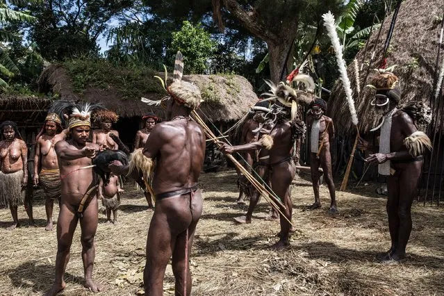 A man from the Dani kills a pig with bow and arrow at Obia Village on August 9, 2014 in Wamena, Papua, Indonesia. (Photo by Agung Parameswara/Getty Images)
