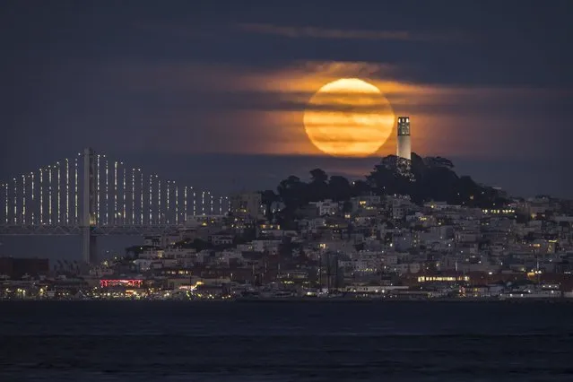 A supermoon, also known as the sturgeon moon, rises with San Francisco's Coit Tower in the foreground, seen from from Sausalito, Calif., Thursday, August 11, 2022. (Photo by Carlos Avila Gonzalez/San Francisco Chronicle via AP Photo)