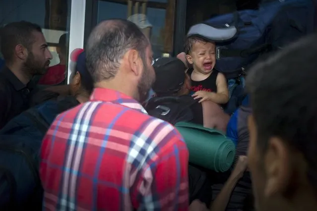 A baby cries as migrants line up for a registration procedure at the port of Mytilene on the Greek island of Lesbos, September 3, 2015. (Photo by Dimitris Michalakis/Reuters)