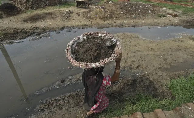 In this picture taken on August 10, 2012, 60 year old manual scavenger Kela carrying a basket of human excrement her head after cleaning toilets in Nekpur village, Muradnagar in Uttar Pradesh, some 40 kms east of New Delhi. Already illegal under a largely ineffective 1993 law, the government has promised to have another go at stamping out the practice with new legislation set to come up in the last parliament session of the year, which opens this week. (Photo by Prakash Singh/AFP Photo)