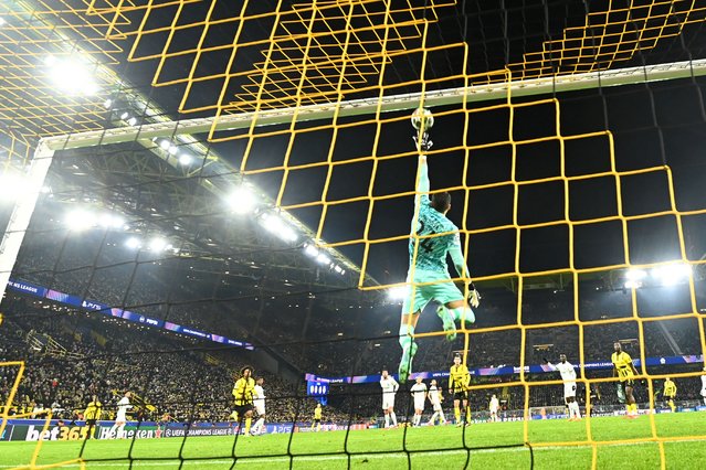 Sporting's Portuguese goalkeeper #24 Rui Silva clears the ball during the UEFA Champions League - Knockout round play-off Second Leg match Borussia Dortmund v Sporting CP at the Signal Iduna stadium in Dortmund, western Germany, on February 19, 2025. (Photo by Ina Fassbender/AFP Photo)