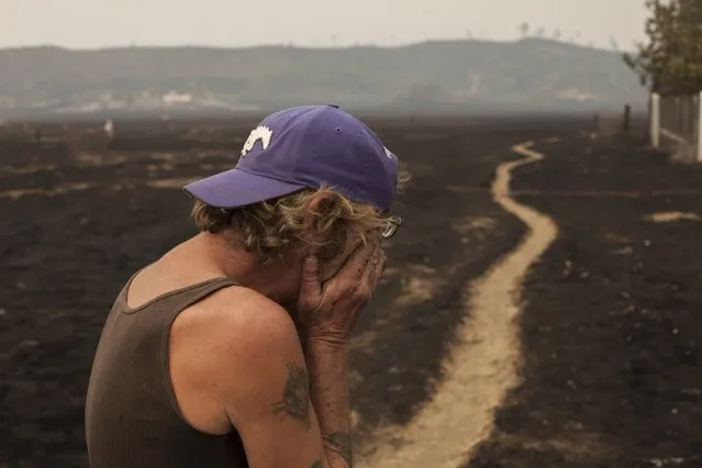 Robert Hooper, exhausted after several days with little sleep, is overcome with emotion while surveying his property that was burnt by the so-called Valley Fire near Middleton, California September 14, 2015. (Photo by David Ryder/Reuters)