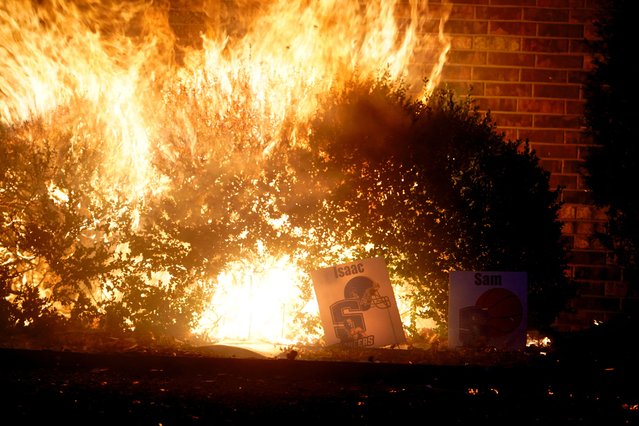 Fire burns among plants infront of a building during a wildfire outbreak in Stillwater, Oklahoma, on March 14, 2025. (Photo by Nick Oxford/Reuters)
