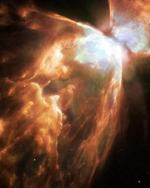 An image of the Bug Nebula shows impressive walls of compressed gas, laced with trailing strands and bubbling outflows. A dark, dusty torus surrounds the inner nebula (seen at the upper right). At the heart of the turmoil is one of the hottest stars known. (Photo by Albert Zijlstra/Reuters/NASA/ESA/Hubble Heritage Team)