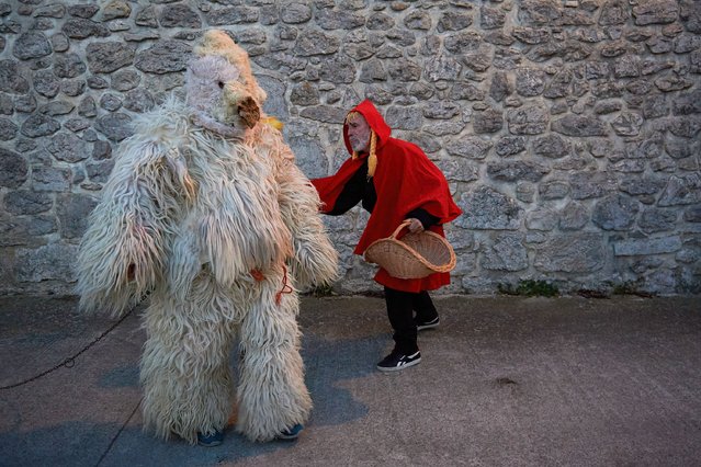 The Hartza (bear) is reprimanded by a little red riding hood during the carnival in Araquil Valley, Navarra, Spain on February 4, 2024. Moxorrak, Hartza, Aitezarko, Landarra with her Ninia and other characters from a rural past once again became owners and lords in this council of Arakil, a maskarada that ended with the burning of Aitezarko. Moxorroak, young people dressed in white pajamas, face covered, and colored hats carry a broom where they wet it and hit anyone who is not disguised. Hartza, a character who is dressed as a bear, hartza in Basque means bear, carries a chain and is carried by a moxorroak, catches the people of the parade as they walk through the streets of the town. Landarra, a male character who is disguised as a woman, with his face covered, and carries in his arms a wooden log that they call “ninia”, cries inconsolably because the moxorroaks throw it to the ground. (Photo by Elsa A Bravo/SOPA Images/Rex Features/Shutterstock)