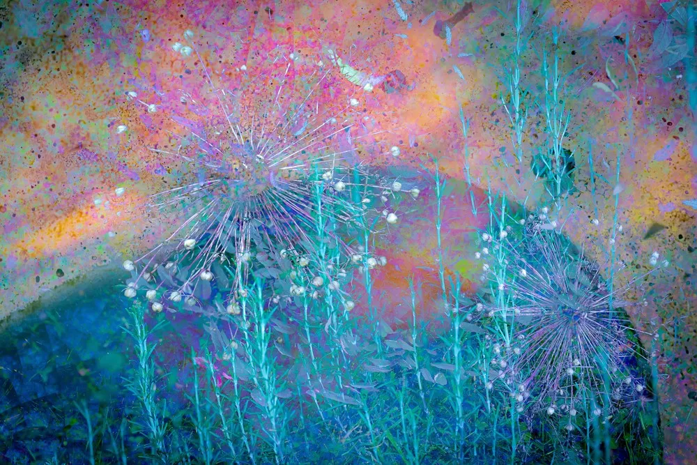 UK International Garden Photographer of the Year