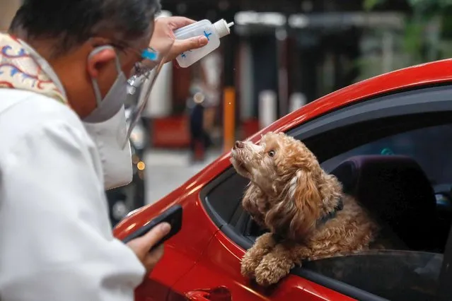 A Catholic priest sprinkles holy water on a dog aboard a vehicle at a drive-thru pet blessing amid the coronavirus disease (COVID-19) outbreak on World Animal Day, in Eastwood Mall, Quezon City, Philippines, October 4, 2020. (Photo by Eloisa Lopez/Reuters)