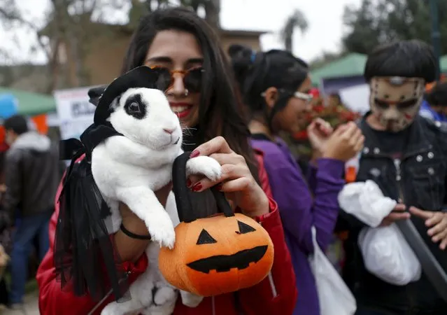 A girl holds a rabbit dressed in a costume during a Pet's Halloween Day parade at El Olivar Park in San Isidro, Lima, October 31, 2015. (Photo by Mariana Bazo/Reuters)