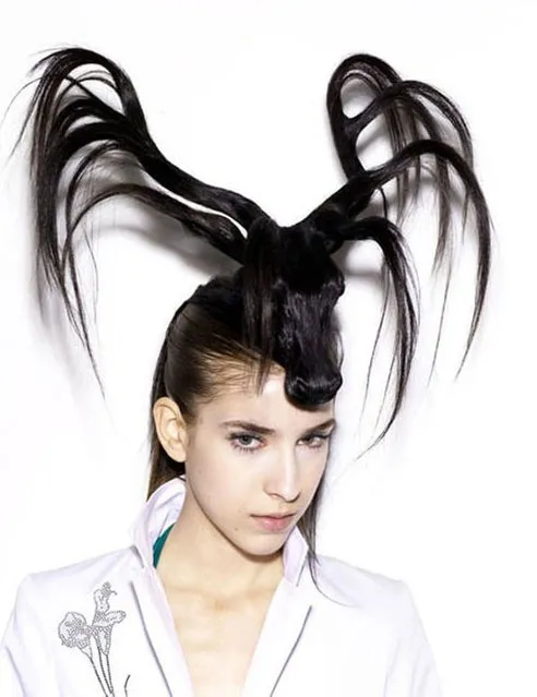 Creative Animal Hair Style Collections