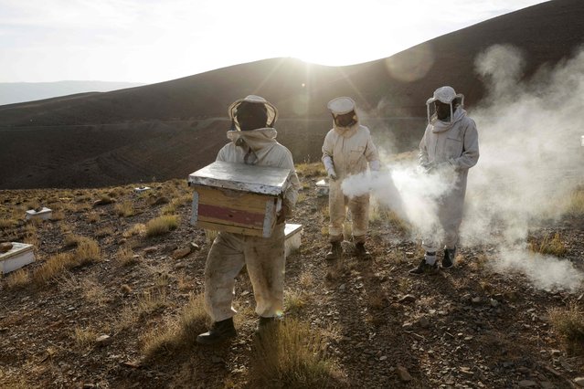 A beekeeper carries a hive as another holds a smokepot, in the mountains of Ait Attou Moussa, in Morocco's central Tinghir Province in the Atlas Mountain range, on August 29, 2025. (Photo by Abdel Majid Bziouat/AFP Photo)