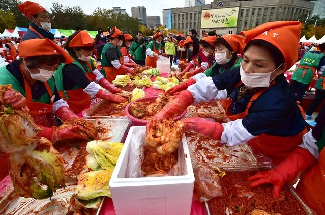 Participants take part in a kimchi making event during the Seoul Kimchi Festival outside the city hall in Seoul on November 6, 2015. The kimchi produced during the event is distributed among South Korea's poorer households. Kimchi is a traditional Korean dish of spicy fermented cabbage and radish. (Photo by Jung Yeon-Je/AFP Photo)