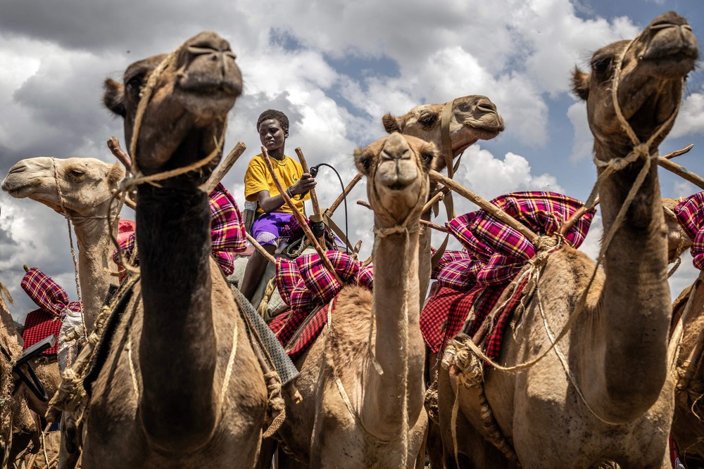 A Look at Life in Africa