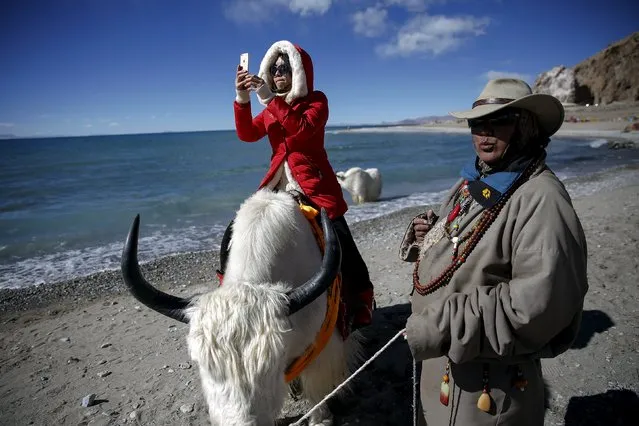 A tourist takes pictures while riding a yak held by a Tibetan man at Namtso lake in the Tibet Autonomous Region, China November 18, 2015. (Photo by Damir Sagolj/Reuters)
