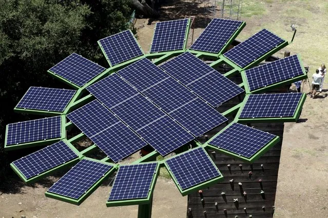 A solar Sun Flower designed by filmmaker James Cameron is pictured at MUSE School in Malibu, California May 19, 2015. Designed as functional art pieces, using existing photovoltaic technologies, the Sun Flowers produce between 75% and 90% of the campus’ power depending upon available daylight. (Photo by Jonathan Alcorn/Reuters)