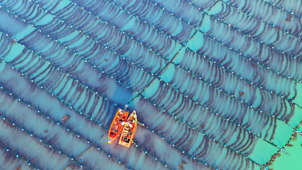 A Look at Life in China