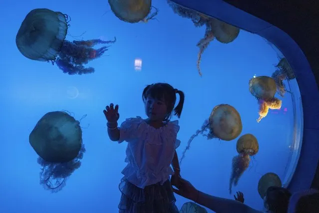 A child reacts near a display of jellyfish at an underwater park on Children's Day in Beijing, Thursday, June 1, 2023. Children's Day is celebrated on June 1 in Communist and post-communist countries. (Photo by Ng Han Guan/AP Photo)
