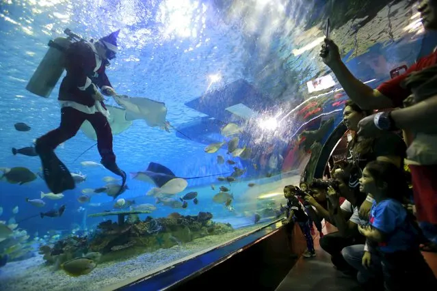 A diver wearing a Santa Claus costume entertains visitors during a Christmas show at an aquarium of the Ocean Park in Manila December 18, 2015. (Photo by Romeo Ranoco/Reuters)