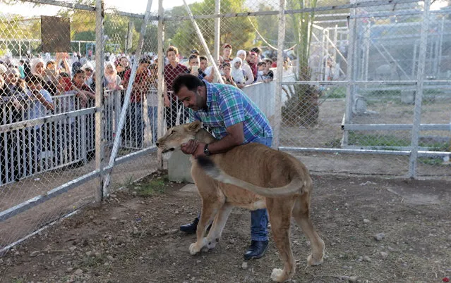 A man hugs a lioness in a zoo installed for the “al-Sham Gathers us” marketing festival held in the Tishreen public park in Damascus, Syria, 14 July 2018. The event was held by the Damascus Governorate with the cooperation of the ministry of tourism. (Photo by Youssef Badawi/EPA/EFE)