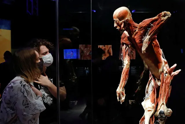 Visitors look at a plastinated human body during the “Body Worlds” exhibition by German anatomist Gunther von Hagens at a pavilion of the Exhibition of Achievements of National Economy (VDNKh) in Moscow, Russia on March 24, 2021. Head of Russian Investigative Committee Alexander Bastrykin ordered a probe of the exhibition after it sparked outrage among conservative religious groups and public figure. (Photo by Evgenia Novozhenina/Reuters)