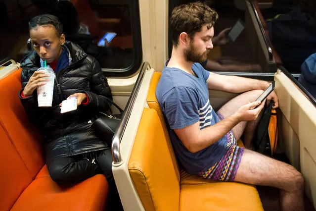 A participant in the No Pants Subway Ride DC, rides the Metro on January 10, 2016 in Washington, DC. (Photo by Andrew Caballero-Reynolds/AFP Photo)