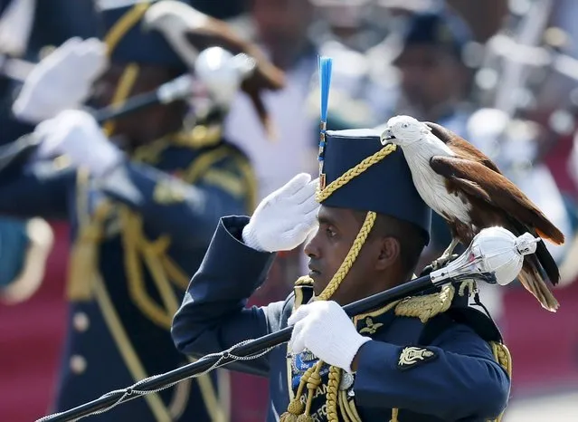 An Air Force soldier marches with an eagle wearing a falconry hood on his shoulder, the symbol of Sri Lanka's Air Force, during Sri Lanka's 68th Independence day celebrations in Colombo, February 4, 2016. (Photo by Dinuka Liyanawatte/Reuters)