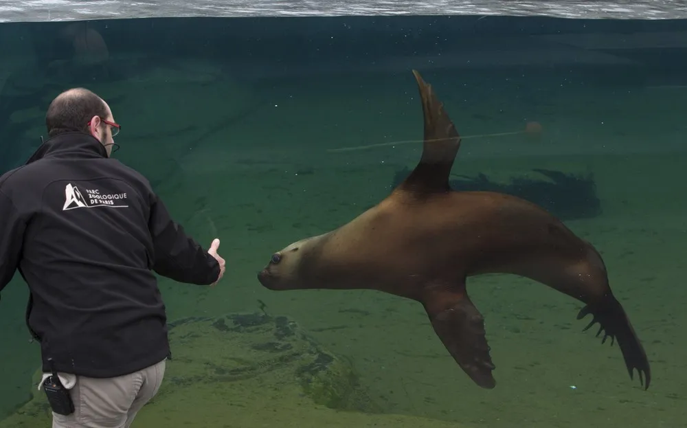 The Week in Pictures: Animals, March 20 – March 27, 2015