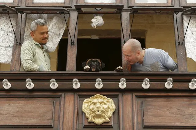 Two men and a dog wait in a balcony for a statue of the Risen Christ to be carried past their house during an Easter Sunday procession in Cospicua, outside Valletta April 5, 2015. (Photo by Darrin Zammit Lupi/Reuters)