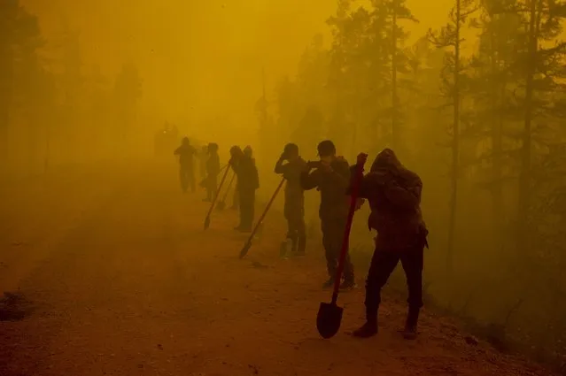 Volunteers pause while working at the scene of forest fire near Kyuyorelyakh village at Gorny Ulus area west of Yakutsk, in Russia Saturday, August 7, 2021. Wildfires in Russia's vast Siberia region endangered a dozen villages Saturday and prompted authorities to evacuate some residents. (Photo by Ivan Nikiforov/AP Photo)