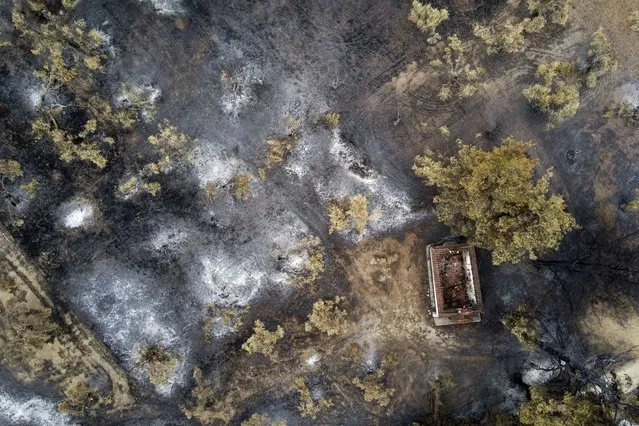 A burnt house at a forest in Agia Anna village on Evia island, about 181 kilometers (113 miles) north of Athens, Greece, Wednesday, August 11, 2021. (Photo by Michael Varaklas/AP Photo)