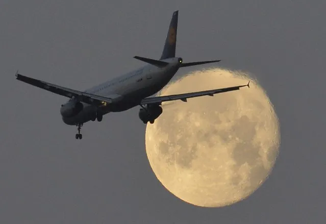 A passenger plane flies past the moon on its final descent to Heathrow Airport in London December 19, 2013. Britain should consider building new runways at London's Heathrow and Gatwick airports, a government commission said on Tuesday. (Photo by Toby Melville/Reuters)