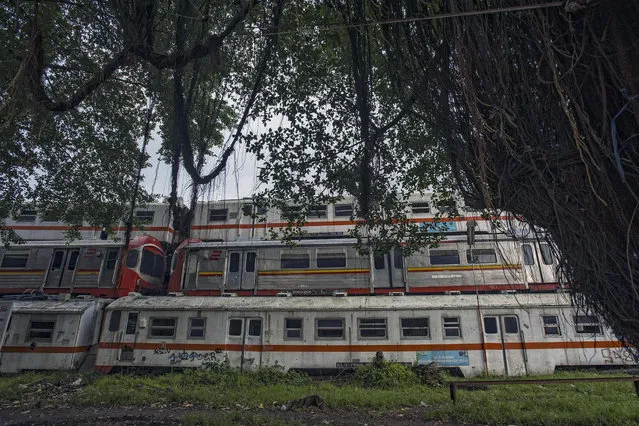 Abandoned trains are stacked on top of each other, on February 27, 2015, in Purwakarta, Indonesia. (Photo by HKV/Barcroft Media)