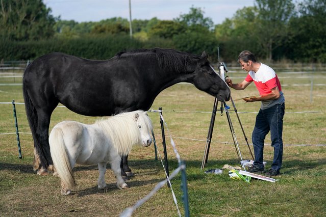 A local artist paints a horse at specialist trauma charity The Way of The Horse, in Lutterworth, Leicestershire on Wednesday, September 22, 2021. (Photo by Jacob King/PA Images via Getty Images)