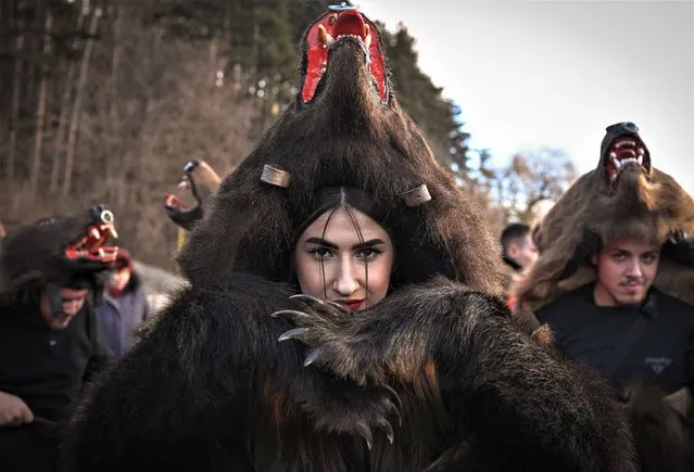 A reveller wearing a bearskin costume poses during the Bearskin Parade in Comanesti, Romania, on December 30, 2022. More than two hundred “bears” and dozens of musicians, surrounded by police and tourists, took part in the end-of-the-year parade. Young men and women dressed in real bearskin and traditional costumes paraded to chase away the evil spirits of the coming year. In all regions of Romania similar events exist but it is in this historical region of Moldova that they are the most developed. Comanesti has become the centre, attracting more and more troupes of dancers every year. (Photo by Daniel Mihailescu/AFP Photo)