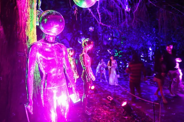People walk through the Disko Tannsi area while visiting “Lightscape”, a light display at the Los Angeles County Arboretum and Botanic Garden on November 11, 2021 in Arcadia, California. The mile long pathway though The Arboretum features art installations of light, color, and sound immersed in the gardens. (Photo by Patrick T. Fallon/AFP Photo)