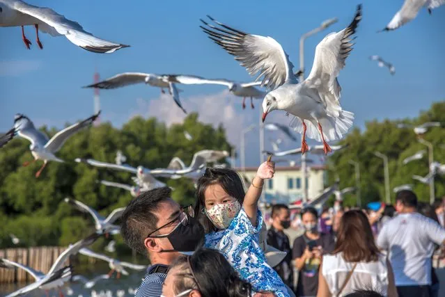 A girl seen feeding a seagull at Bang Pu seaside resort on November 20, 2021. Every year during the cold winter in Thailand between November and March thousands of seagulls migrate from Siberia and Mongolia to Bang Pu seaside in Samut Prakan province to escape the harsh winter. (Photo by Peerapon Boonyakiat/SOPA Images/Rex Features/Shutterstock)