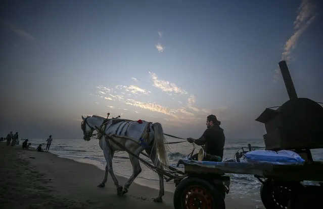 A Palestinian man sells Roasted sweet Patatos at a beach at sunset in the west of Gaza City, 18 November 2021. (Photo by Mohammed Saber/EPA/EFE)
