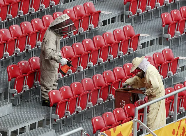 Firefighters in protective dress are removing a swarm of bees that settled at a stadium in Lodz, Poland, Friday, June 7, 2019, just hours before the first quarter-finals match between Ukraine and Colombia of the U-20 football tournament. (Photo by Czarek Sokolowski/AP Photo)