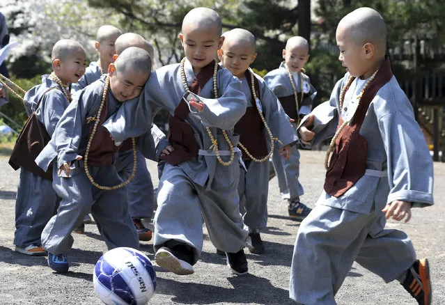 Boys with their heads shaven play “Dongjasung”, or little monk, soccer to celebrate upcoming Buddha's birthday on May 6 at a temple on Jeju Island, South Korea, Wednesday, April 2, 2014. The children entered the temple to have an experience of monks' life for 30 days. (Photo by Kim Ho-chun/AP Photo/Yonhap)