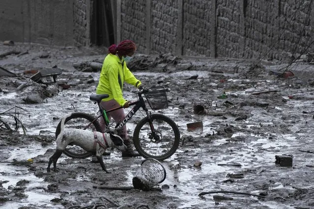 A resident and dog walk across a mud filled street after a rain-weakened hillside collapsed and brought waves of mud over La Gasca area of Quito, Ecuador, Tuesday, February 1, 2022. (Photo by Dolores Ochoa/AP Photo)