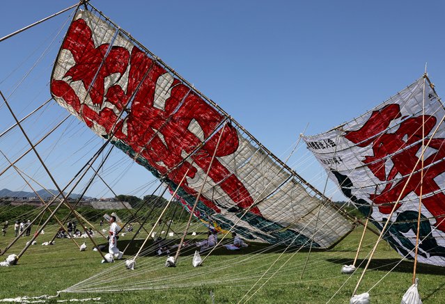 Participants wait to fly Japan's largest kite, measuring 14.5x14.5 meters and weighing 950 kg, during the Oodako Matsuri, a giant kite festival, in Sagamihara, south of Tokyo, Japan on May 4, 2024. The annual festival has been passed down for more than a century as a form of prayer to help ensure a good harvest. (Photo by Kim Kyung-Hoon/Reuters)