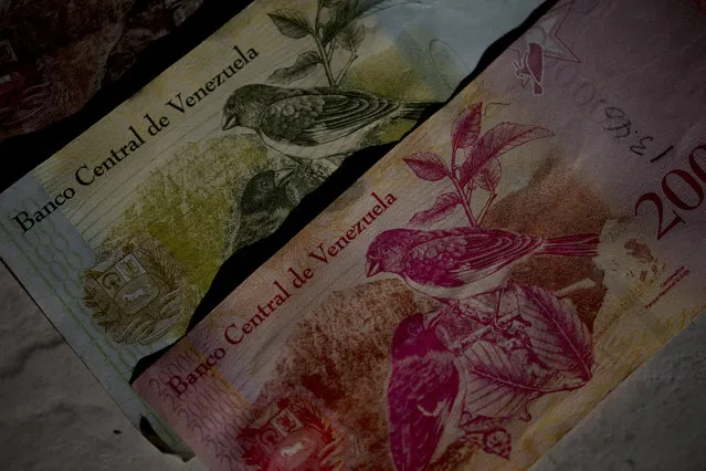 This October 20, 2018 photo shows Bolivar bank notes decorated with images of Venezuela's red siskin bird, as part of rescue program in Caracas, Venezuela. Images of a tiny red bird that barely fills the palm of one's hand appear everywhere in Venezuela – printed on money, labels of craft beer bottles and the cover of children's school books. (Photo by ernando Llano/AP Photo)