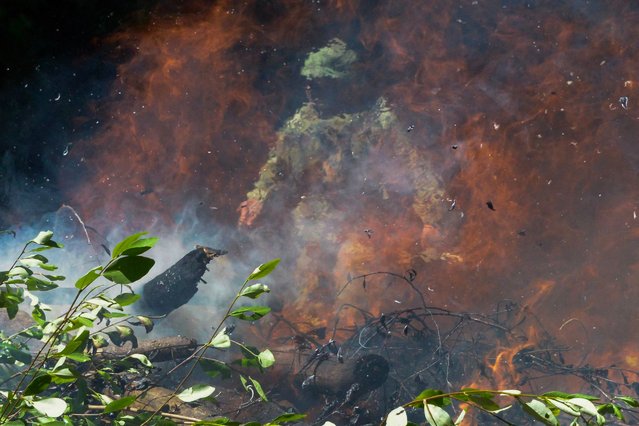 A Mexican soldier burns coca plants in the mountainous area of Atoyac de Alvarez, Guerrero state, Mexico, on February 15, 2023. (Photo by Francisco Robles/AFP Photo)