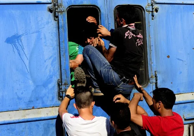 Migrants try to get onboard an overloaded train at Gevgelija train station in Macedonia, near the border with Greece, on their transit route to Europe, July 19, 2015. (Photo by Ognen Teofilovski/Reuters)