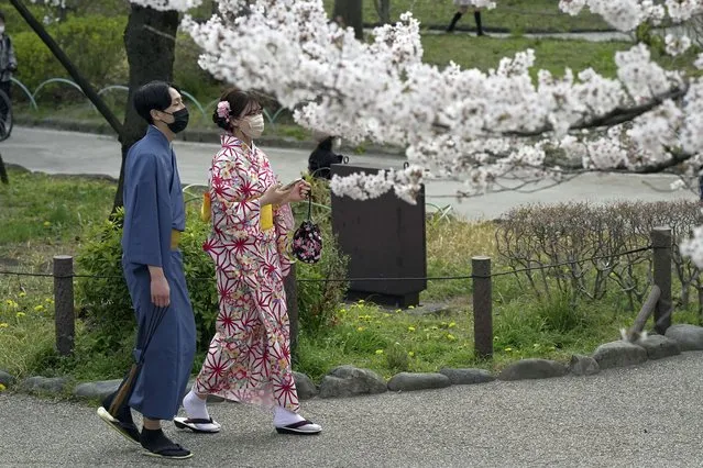 People wearing face masks view seasonal cherry blossoms at the Sumida Park Monday, March 28, 2022, in Tokyo. (Photo by Eugene Hoshiko/AP Photo)